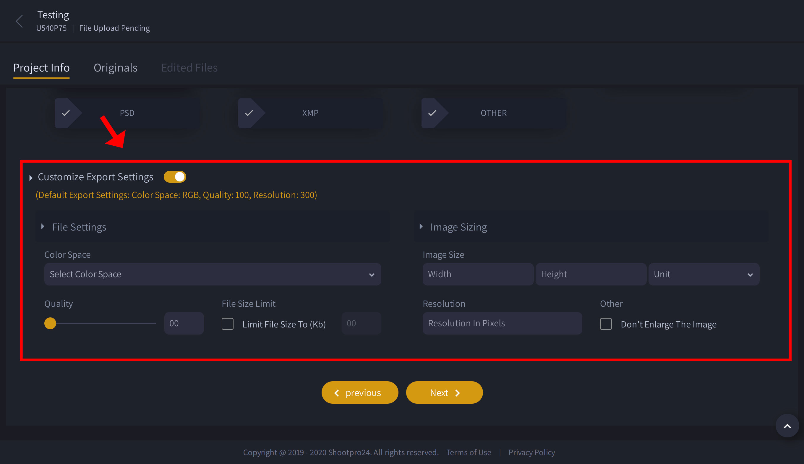 Advanced Export Settings